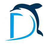 دلفین مارکت