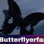 ButterflyErfan