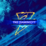 TN2(GAMING)