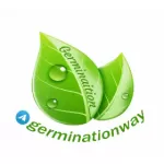 Germination