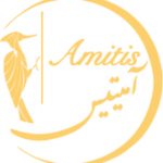 amitisgroupco