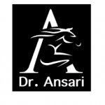 Dr.anssari