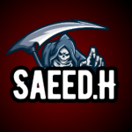 saeed h