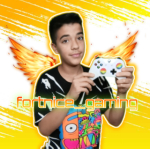 fortnice_gaming