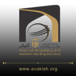 ava.kish.institute