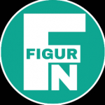 FN_FIGURE