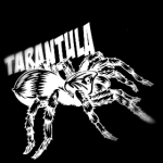 WT_Tarantula