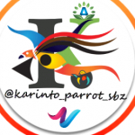 Karinto_parrot