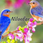 Niloofar1020