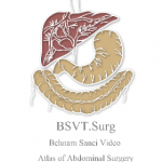 BSVA.Surg اطلس ویدئوهای جراحی شکم دکتر بهنام صانعی