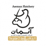 Aseman.Hatchery