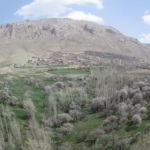 حمیدصیدی