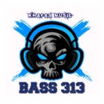 BASS313