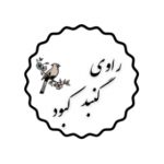 راوی گنبد کبود