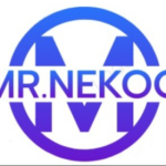 MR.NEKOO