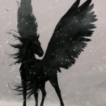 DARK PEGASUS