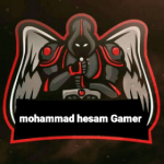 mohammad hesam Gamer