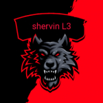 Shervin L3