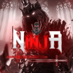 2.Ninja