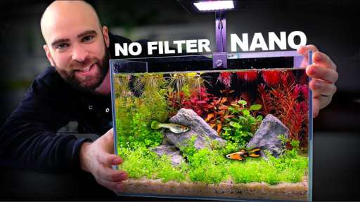 I Reviewed the 5 Best Small Fish Tanks in 2024 