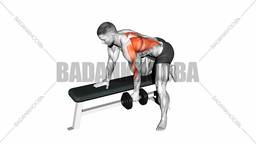 Seated Forward Bend Chair Stretch 