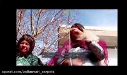 ایل قشقایی و رنگرزی پشم برای فرش ایرانی