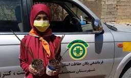 دختر 12 ساله، آغازگر محافظت از محیط زیست بین دانش آموزان مسجدسلیمان