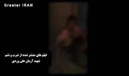 فیلم شکنجه آرمان علی وردی - دستگیری قاتلان شهید علی وردی