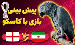 پیش بینی بازی ایران و انگلیس در جام جهانی 2022 قطر