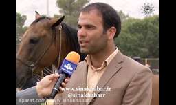 جشنواره اسب دره شوری در شهرضا