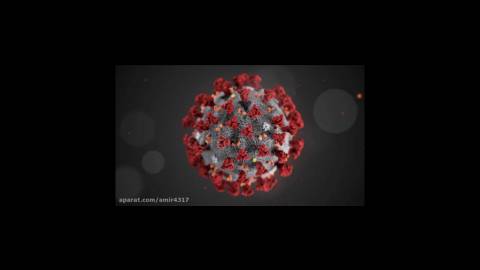 اولین تصویر شببیه سازی شده ویروس کورونا