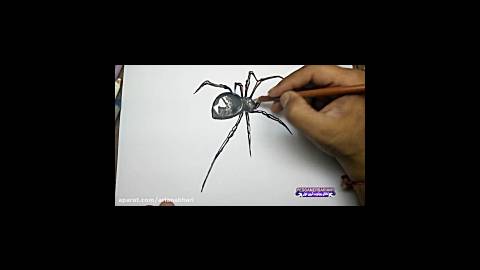 نقاشی سه بعدی حرفه ای عنکبوت