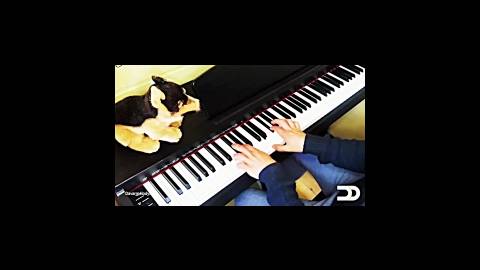 تست پیانو دیجیتال کورزویل KURZWEIL M70-SR Digital Piano | داور ملودی