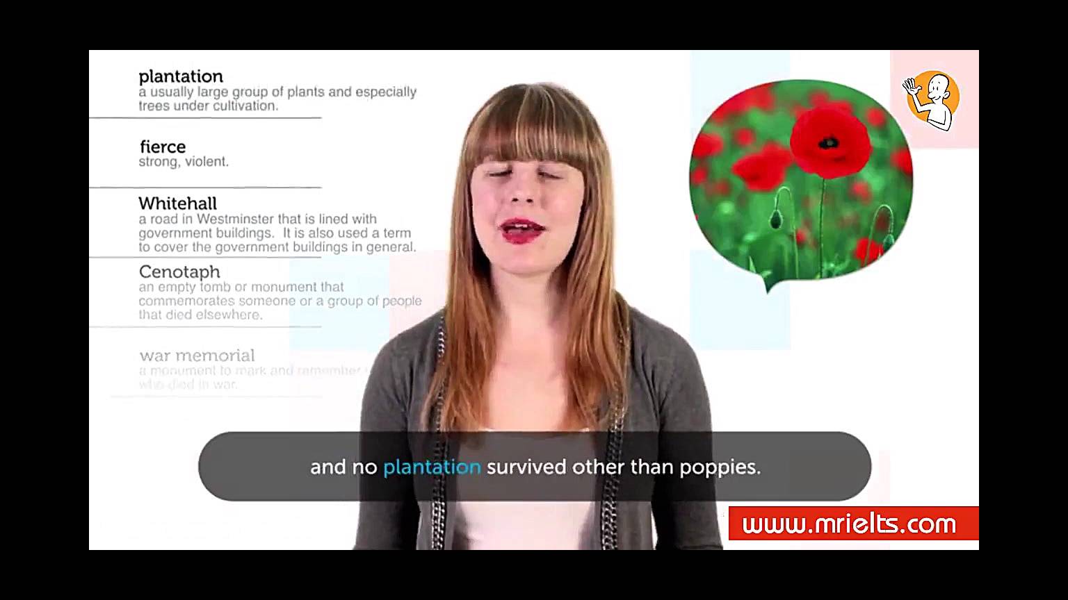 poppy day