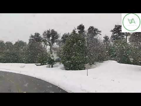 Paso Internacional Cardenal Antonio Samoré, cruzada nevando, video 43