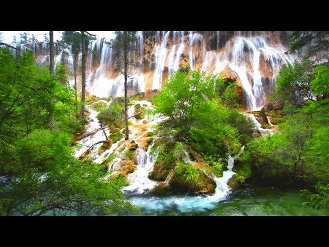 2 Hours Relaxing Waterfall Nature Sounds Calming Birdsong Sound of Water Forest Relaxation