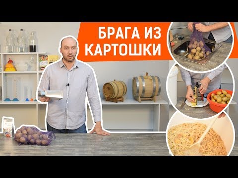 Шнапс: ставим брагу на картошке