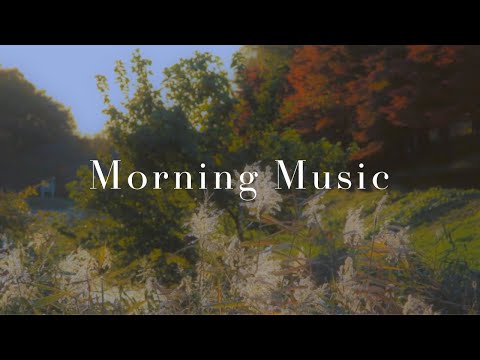 Relaxing Morning Guitar Music | Work Study Focus | 1 Hour