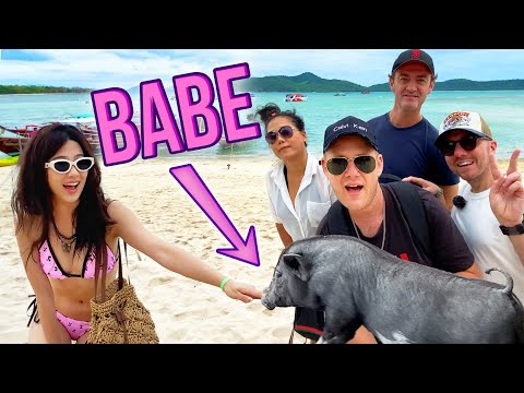 PIG Island - KOH SAMUI 🐖🏝️