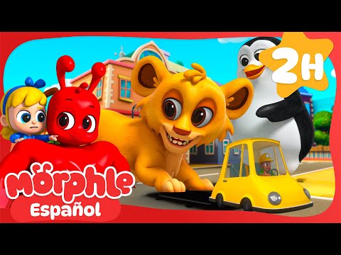 Animales Gigantes | Mila y Morphle en Español | Dibujos animados