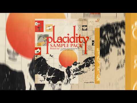 FREE SAMPLE PACK | "PLACIDITY" (DON TOLIVER , TRAVIS SCOTT) Free Guitar/Synth Loopkit