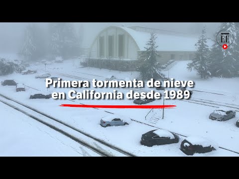 Tormenta de nieve en Los Angeles, California: la primera en 30 años | El Espectador