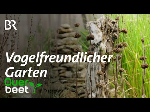 Vogelfreundlicher Garten