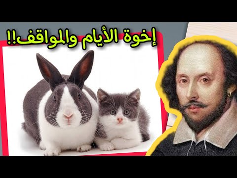 هناك إخوة تلدهم لك الأيام والمواقف | اقتباسات وليم شكسبير | على ظهر كتاب