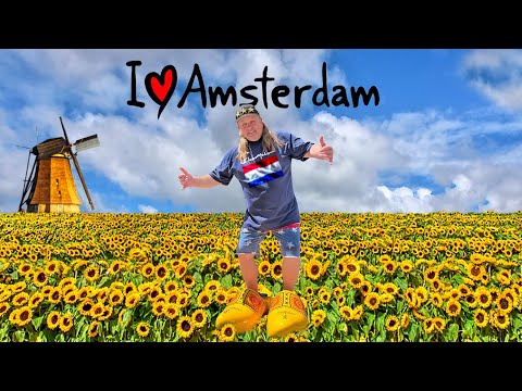 Exploring Amsterdam full tour flea market, ,boat tour,bike tour art district