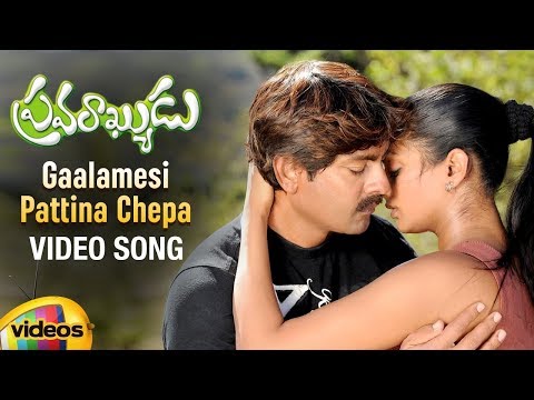 Pravarakyudu Songs - Gaalamesi Pattina Chepa Song - Jagapathi Babu, Priyamani and Hamsa Nandini