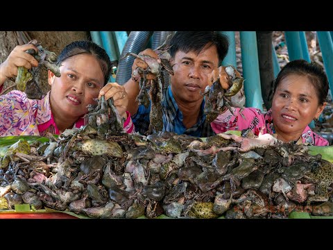 Cooking Traditional Banded Bullfrog Recipe, Delicious Ngam Ngov Food Style, Kitchen Foods in Village