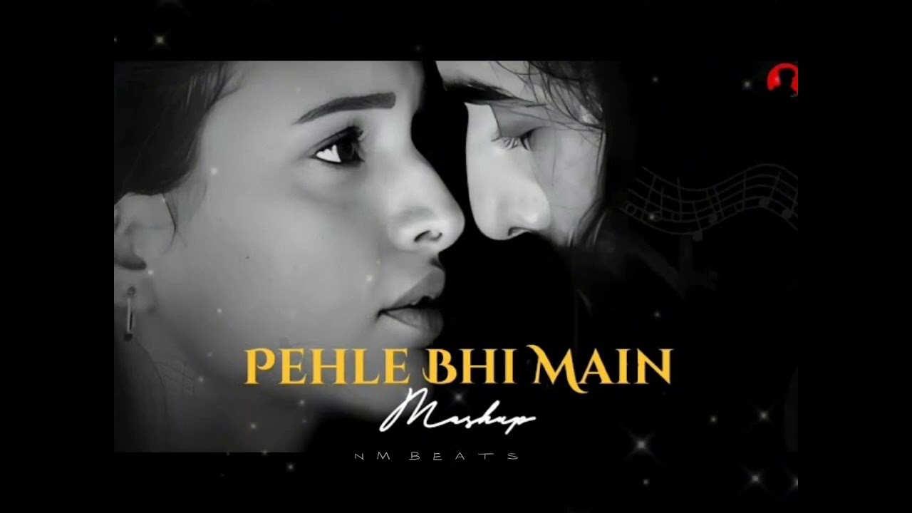 Pehle Bhi Main Meshup | Sid Guldekar |  Best Meshup Of 2024 | NM BEATS | #animalshorts #pehlebhimain