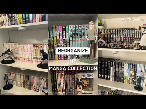 REORGANIZE my manga collection | manga BOOKSHELF TOUR