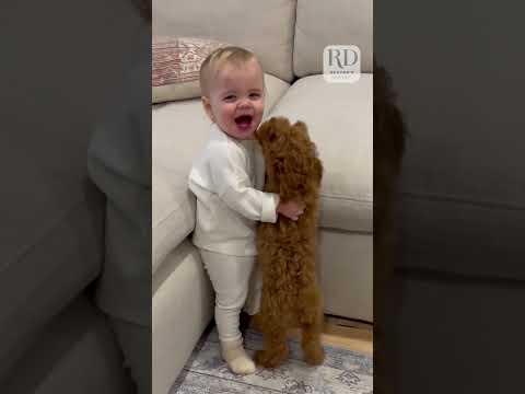 Adorable Puppy and Baby Meet for the Very First Time